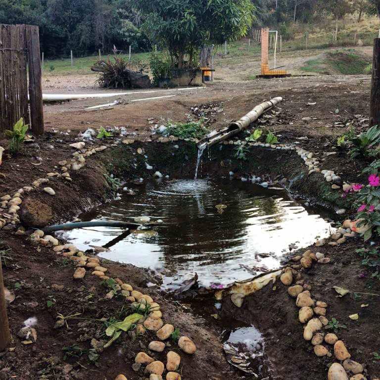 Fazenda, 53 hectares - Foto 23