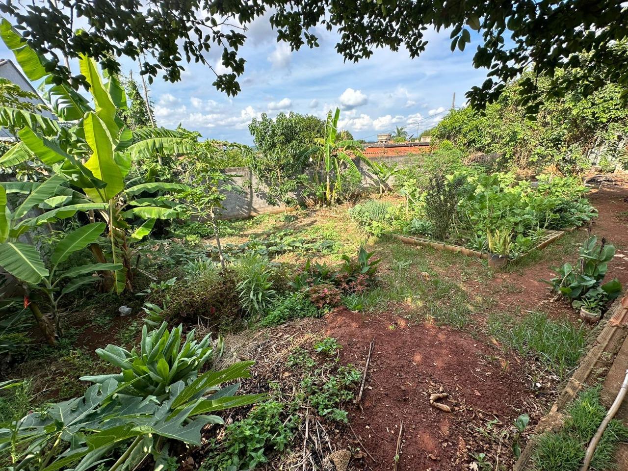 Chácara, 5 quartos, 1800 m² - Foto 11