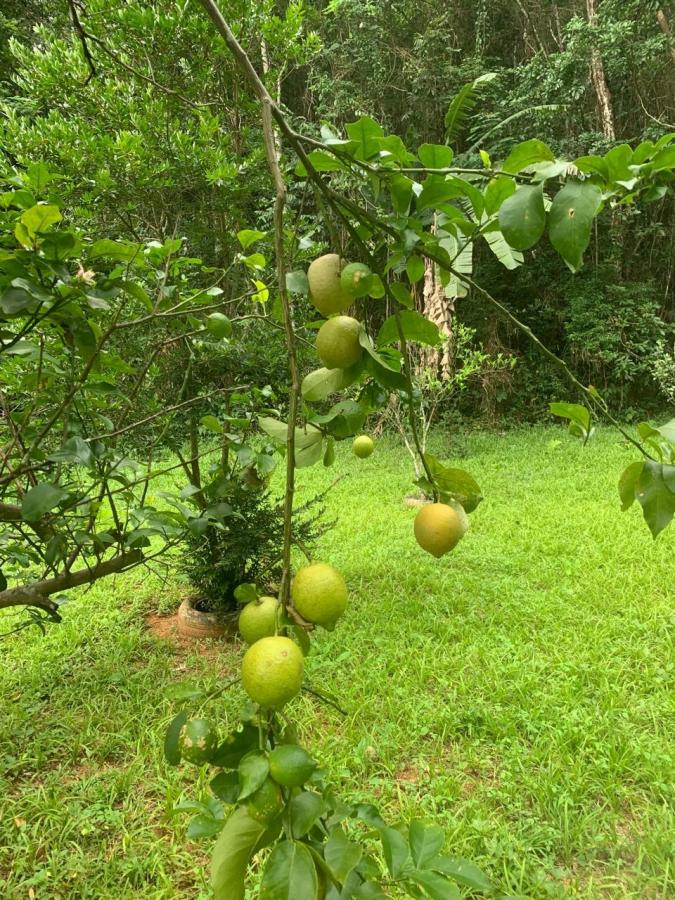 Fazenda, 8 hectares - Foto 25