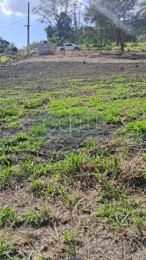 Terreno, 1000 m² - Foto 6