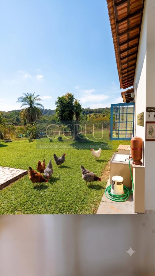 Sítio, 4 quartos, 1 hectares - Foto 12