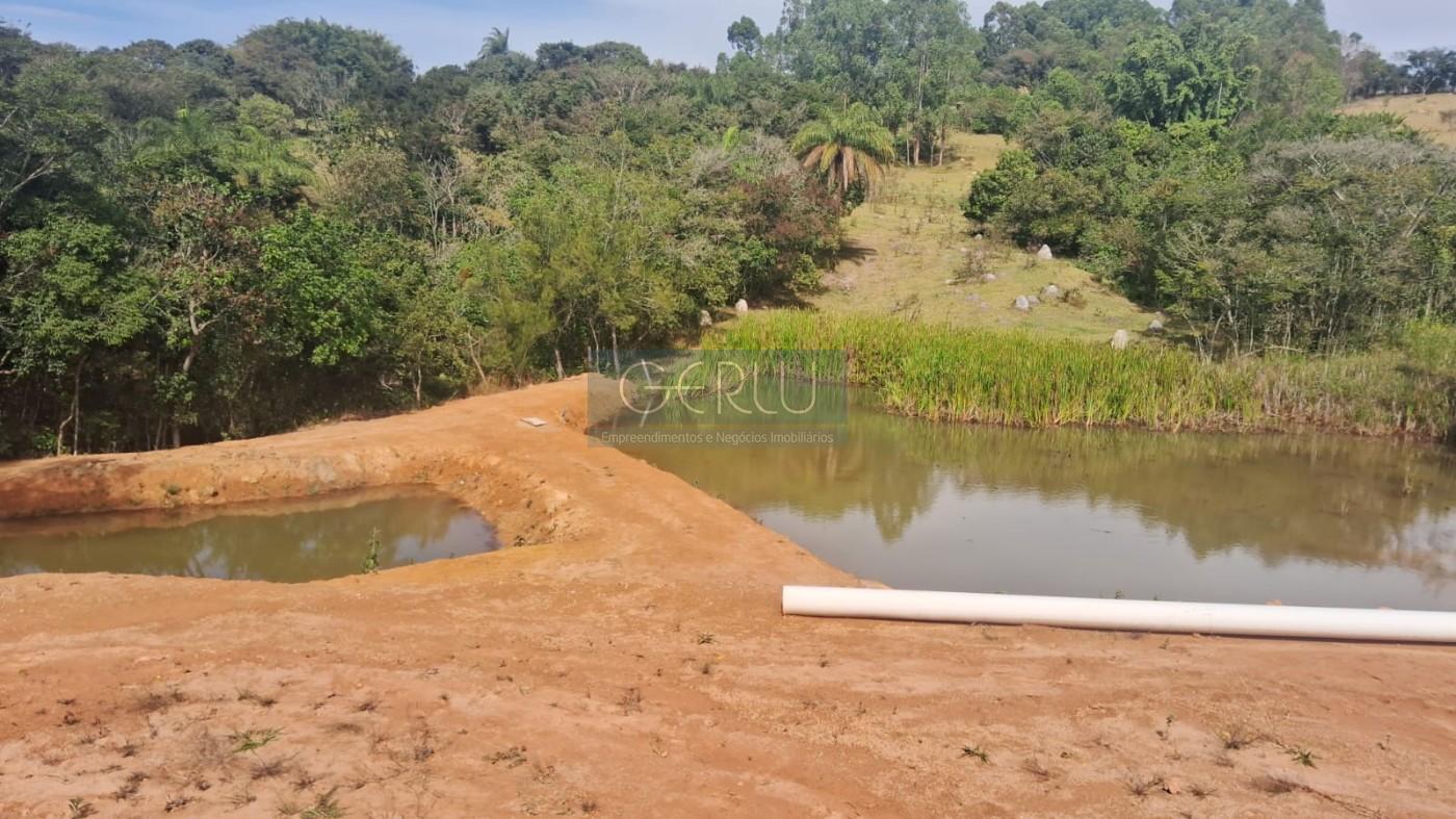 Sítio, 4 quartos, 5000 m² - Foto 2