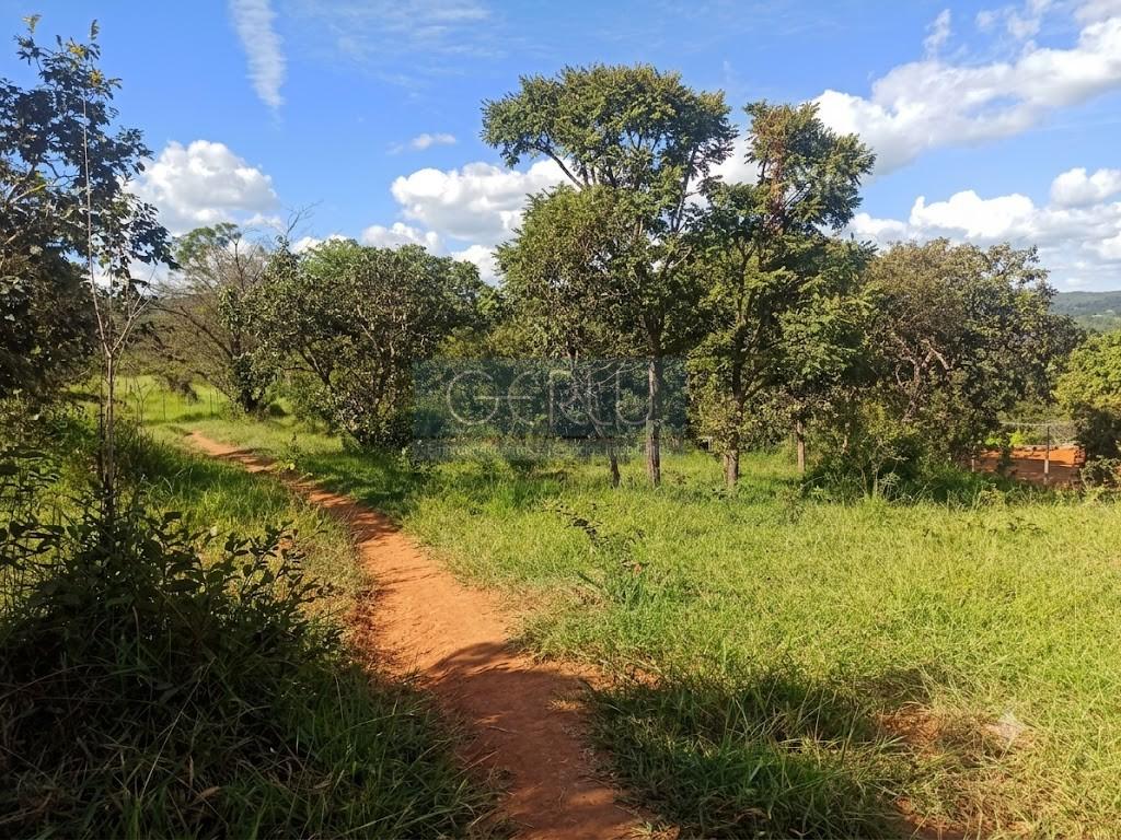 Terreno, 3000 m² - Foto 6