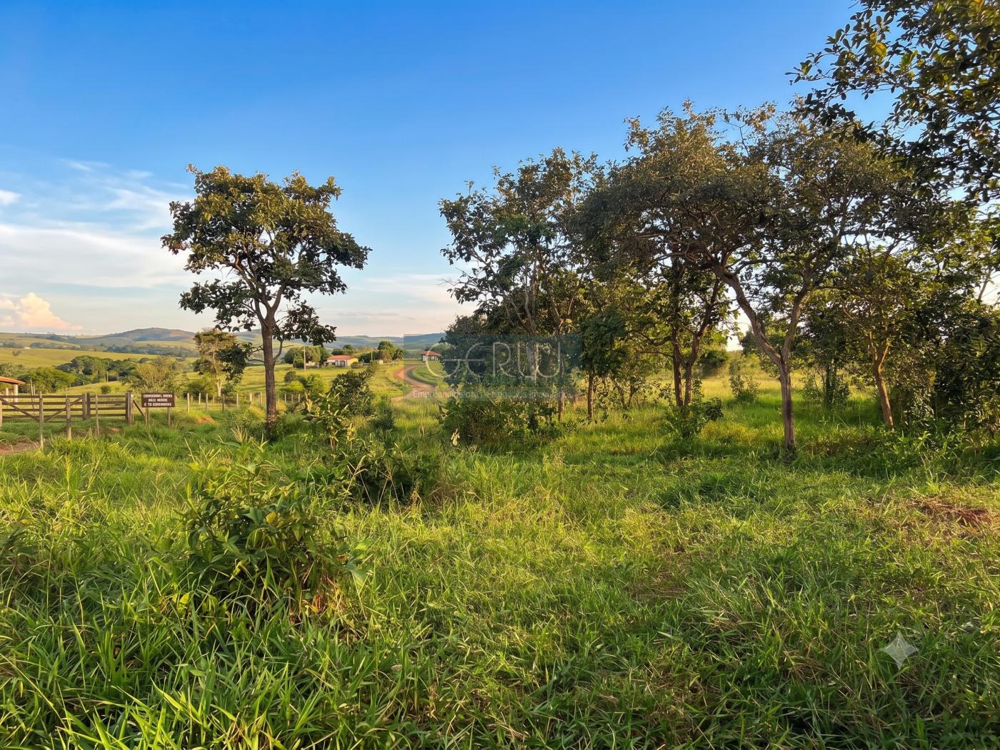 Terreno, 3000 m² - Foto 8