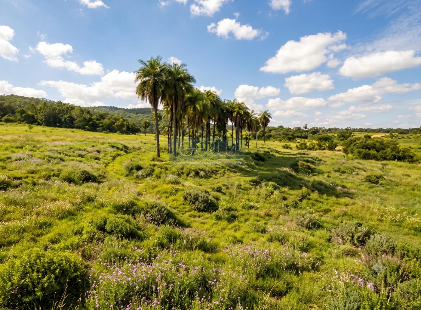 Terreno, 3000 m² - Foto 10