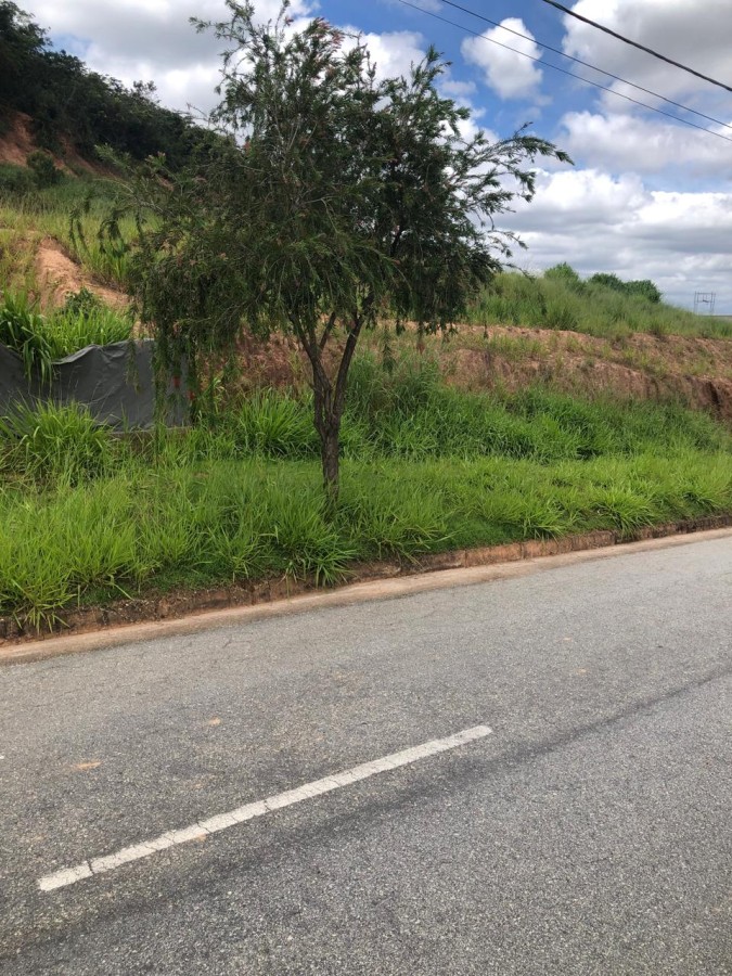 Terreno, 1000 m² - Foto 3