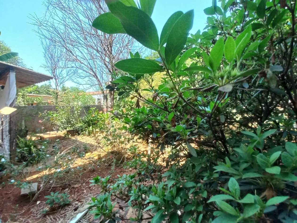 Casa, 3 quartos, 200 m² - Foto 21